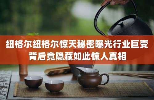 纽格尔纽格尔惊天秘密曝光行业巨变背后竟隐藏如此惊人真相