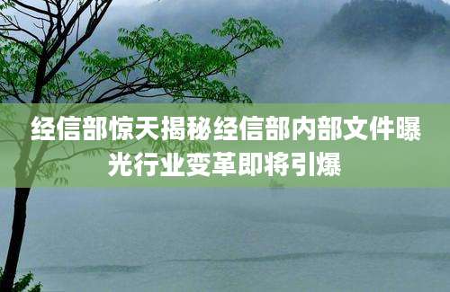经信部惊天揭秘经信部内部文件曝光行业变革即将引爆