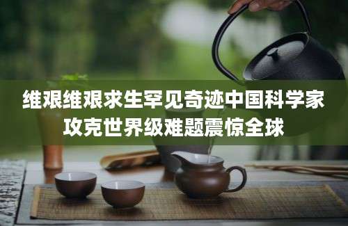 维艰维艰求生罕见奇迹中国科学家攻克世界级难题震惊全球