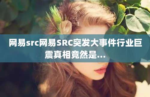 网易src网易SRC突发大事件行业巨震真相竟然是...