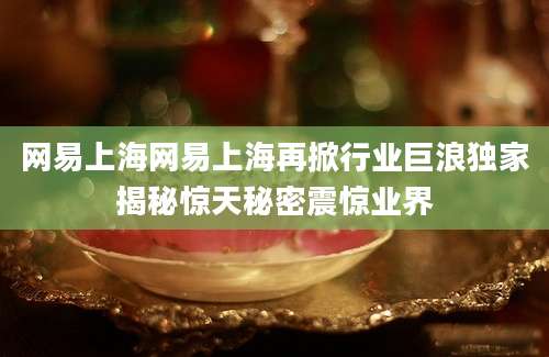 网易上海网易上海再掀行业巨浪独家揭秘惊天秘密震惊业界