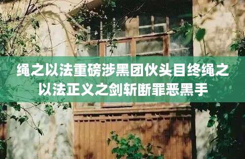 绳之以法重磅涉黑团伙头目终绳之以法正义之剑斩断罪恶黑手