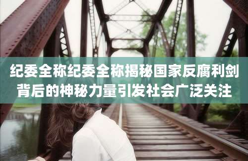 纪委全称纪委全称揭秘国家反腐利剑背后的神秘力量引发社会广泛关注