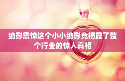 缩影震惊这个小小缩影竟揭露了整个行业的惊人真相