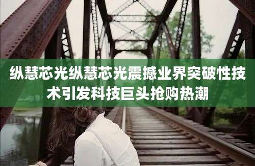 纵慧芯光纵慧芯光震撼业界突破性技术引发科技巨头抢购热潮
