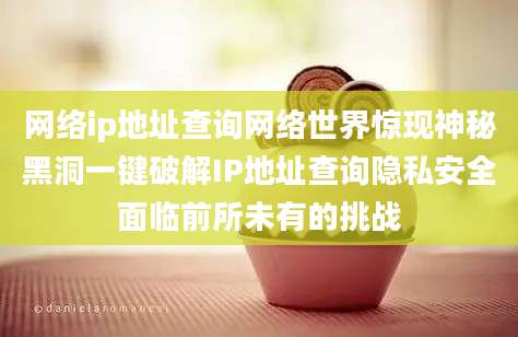 网络ip地址查询网络世界惊现神秘黑洞一键破解IP地址查询隐私安全面临前所未有的挑战