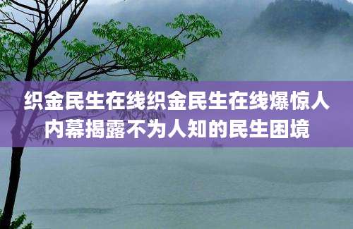织金民生在线织金民生在线爆惊人内幕揭露不为人知的民生困境