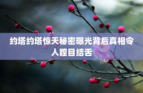 约塔约塔惊天秘密曝光背后真相令人瞠目结舌