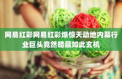 网易红彩网易红彩爆惊天动地内幕行业巨头竟然暗藏如此玄机