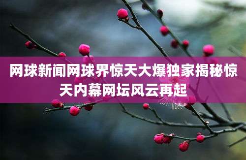 网球新闻网球界惊天大爆独家揭秘惊天内幕网坛风云再起