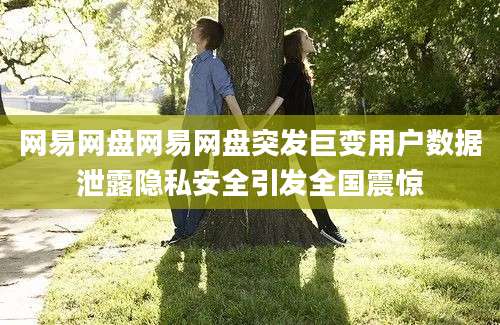网易网盘网易网盘突发巨变用户数据泄露隐私安全引发全国震惊