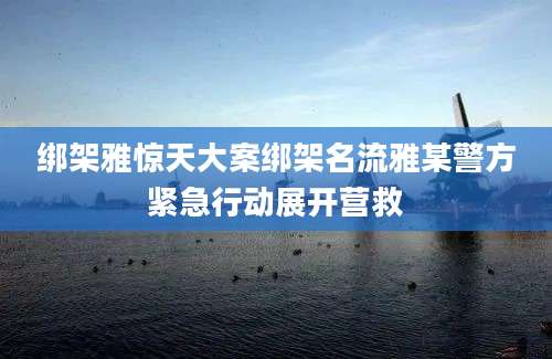 绑架雅惊天大案绑架名流雅某警方紧急行动展开营救