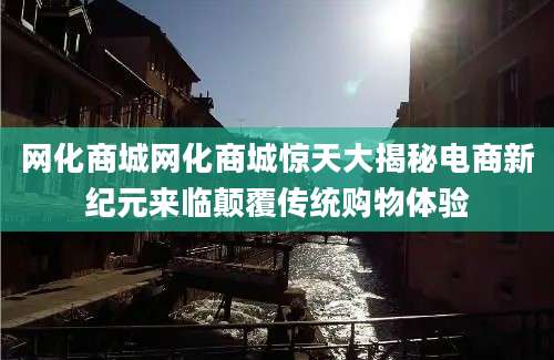 网化商城网化商城惊天大揭秘电商新纪元来临颠覆传统购物体验