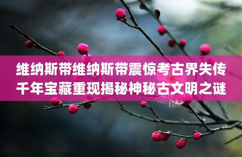 维纳斯带维纳斯带震惊考古界失传千年宝藏重现揭秘神秘古文明之谜