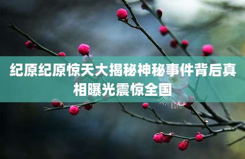 纪原纪原惊天大揭秘神秘事件背后真相曝光震惊全国