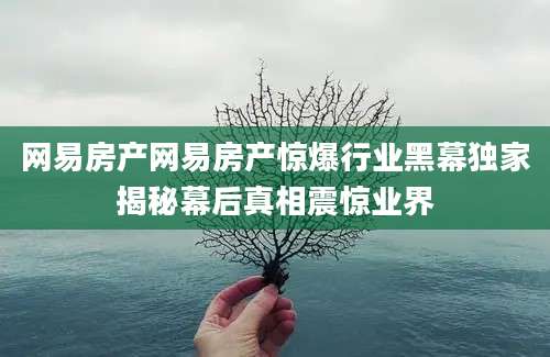 网易房产网易房产惊爆行业黑幕独家揭秘幕后真相震惊业界