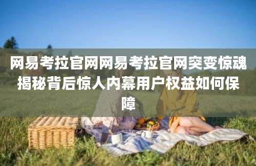 网易考拉官网网易考拉官网突变惊魂揭秘背后惊人内幕用户权益如何保障
