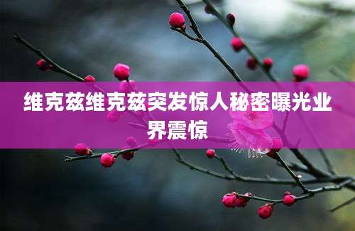 维克兹维克兹突发惊人秘密曝光业界震惊