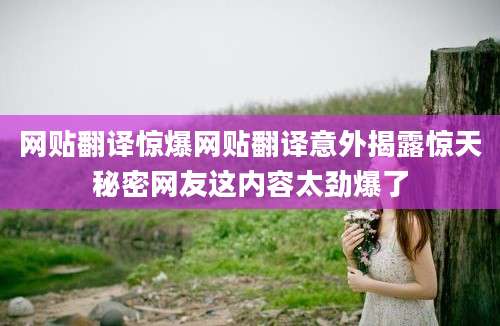 网贴翻译惊爆网贴翻译意外揭露惊天秘密网友这内容太劲爆了