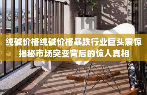 纯碱价格纯碱价格暴跌行业巨头震惊揭秘市场突变背后的惊人真相