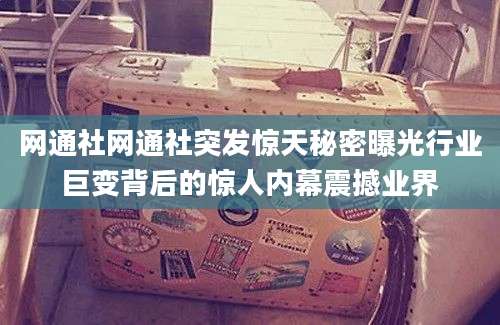 网通社网通社突发惊天秘密曝光行业巨变背后的惊人内幕震撼业界