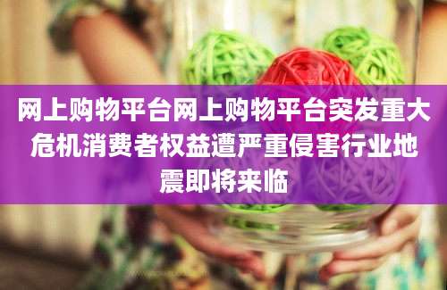 网上购物平台网上购物平台突发重大危机消费者权益遭严重侵害行业地震即将来临