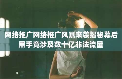 网络推广网络推广风暴来袭揭秘幕后黑手竟涉及数十亿非法流量