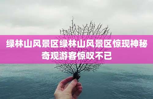 绿林山风景区绿林山风景区惊现神秘奇观游客惊叹不已