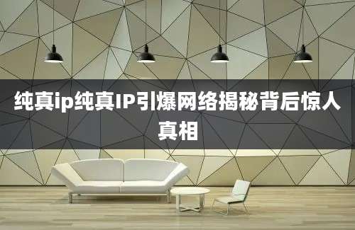 纯真ip纯真IP引爆网络揭秘背后惊人真相