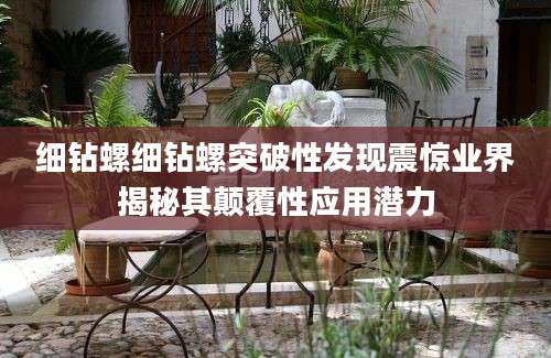 细钻螺细钻螺突破性发现震惊业界揭秘其颠覆性应用潜力