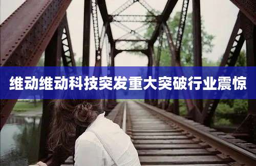 维动维动科技突发重大突破行业震惊