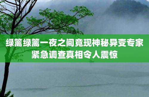 绿篱绿篱一夜之间竟现神秘异变专家紧急调查真相令人震惊