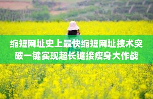 缩短网址史上最快缩短网址技术突破一键实现超长链接瘦身大作战