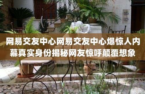 网易交友中心网易交友中心爆惊人内幕真实身份揭秘网友惊呼颠覆想象