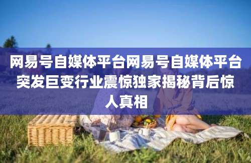 网易号自媒体平台网易号自媒体平台突发巨变行业震惊独家揭秘背后惊人真相