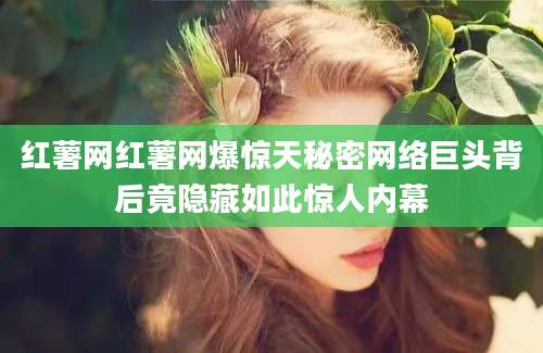 红薯网红薯网爆惊天秘密网络巨头背后竟隐藏如此惊人内幕