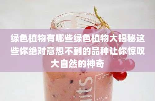 绿色植物有哪些绿色植物大揭秘这些你绝对意想不到的品种让你惊叹大自然的神奇