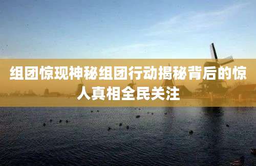 组团惊现神秘组团行动揭秘背后的惊人真相全民关注