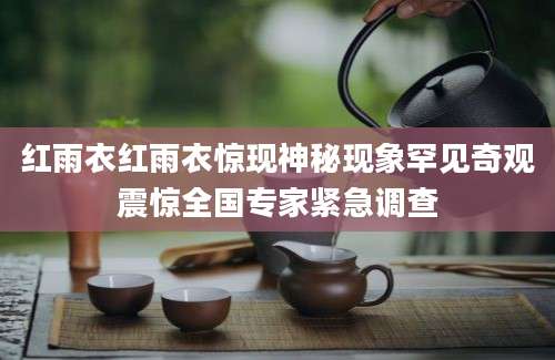 红雨衣红雨衣惊现神秘现象罕见奇观震惊全国专家紧急调查
