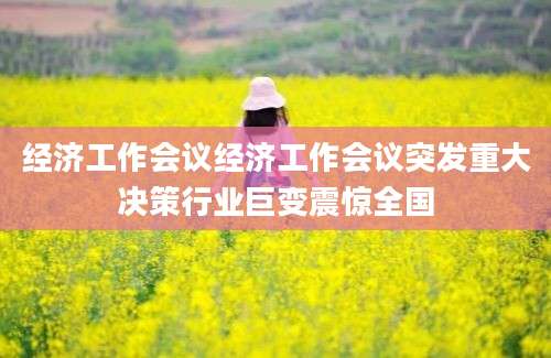 经济工作会议经济工作会议突发重大决策行业巨变震惊全国