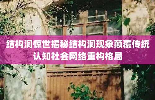 结构洞惊世揭秘结构洞现象颠覆传统认知社会网络重构格局