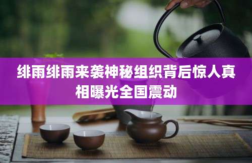 绯雨绯雨来袭神秘组织背后惊人真相曝光全国震动