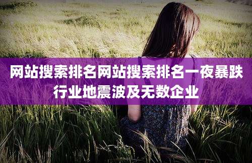 网站搜索排名网站搜索排名一夜暴跌行业地震波及无数企业