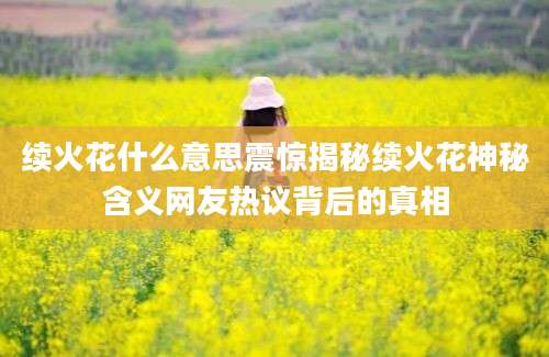 续火花什么意思震惊揭秘续火花神秘含义网友热议背后的真相