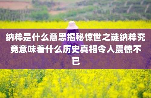 纳粹是什么意思揭秘惊世之谜纳粹究竟意味着什么历史真相令人震惊不已