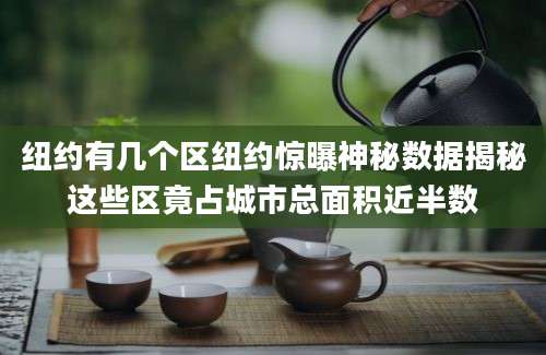 纽约有几个区纽约惊曝神秘数据揭秘这些区竟占城市总面积近半数
