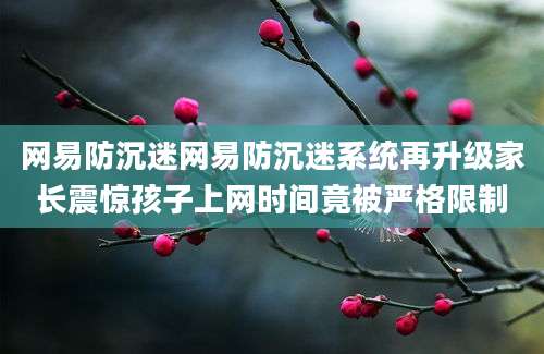 网易防沉迷网易防沉迷系统再升级家长震惊孩子上网时间竟被严格限制