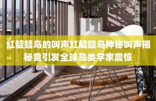 红靛颏鸟的叫声红靛颏鸟神秘叫声揭秘竟引发全球鸟类学家震惊