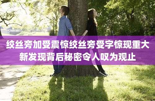 绞丝旁加受震惊绞丝旁受字惊现重大新发现背后秘密令人叹为观止