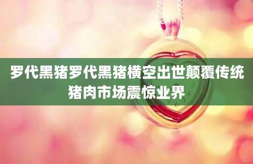 罗代黑猪罗代黑猪横空出世颠覆传统猪肉市场震惊业界